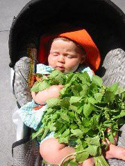 IMG_5821.JPG
