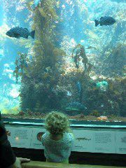 IMG_2757.JPG