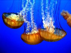 IMG_2765.JPG