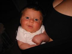 150-5095_IMG