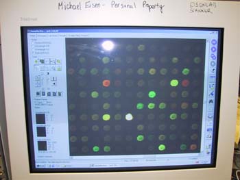 10 Laser-Scanned Image