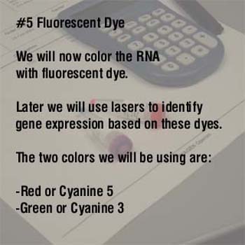 5-1 factoid