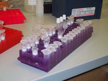 7 Microfuge Tubes